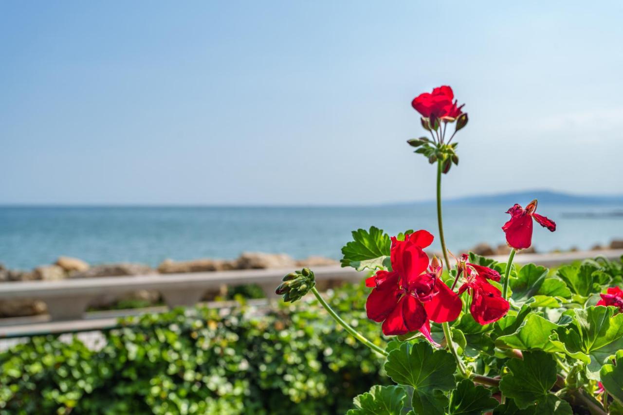 Apartment Poemia- Sea View, Free Parking, Complex Carpe Diem